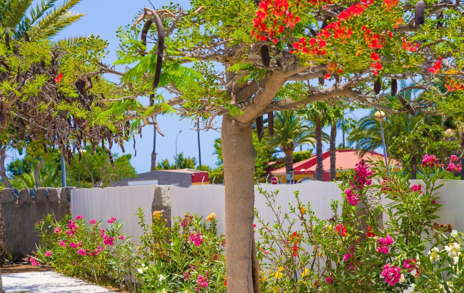 Resort Las Almenas Maspalomas (Gran Canaria)