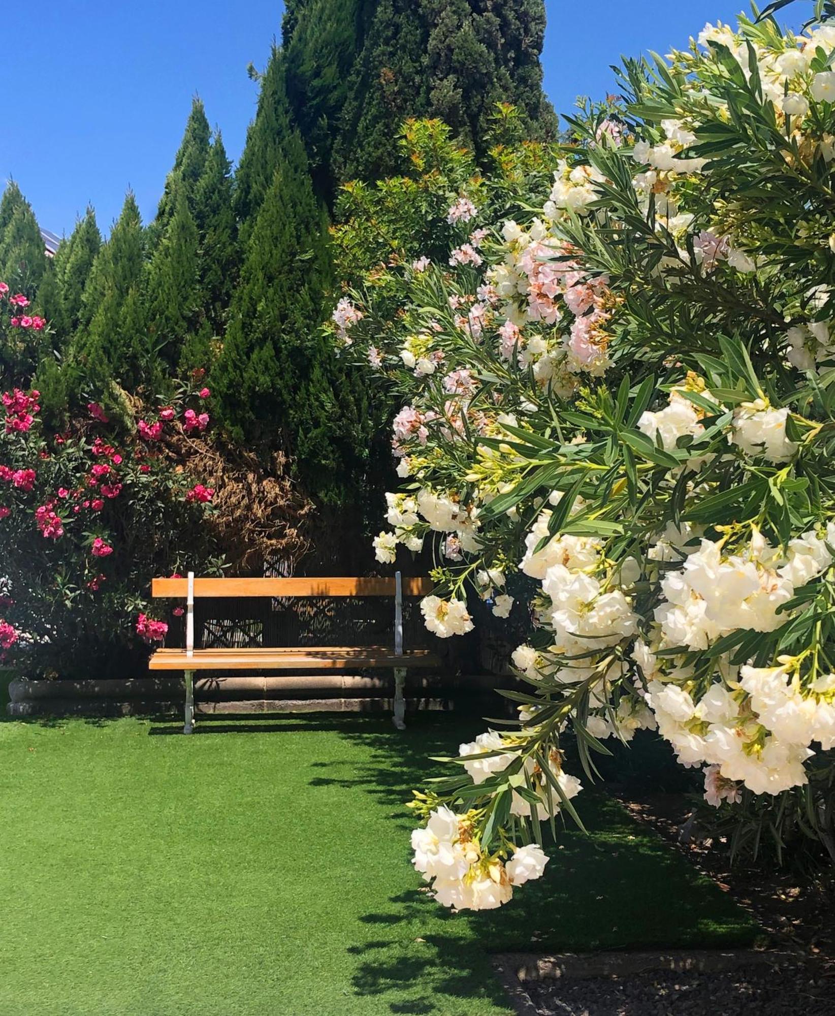 Ośrodek wypoczynkowy Almenas Maspalomas (Gran Canaria)
